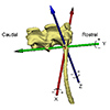 Figure 2. Typical 6DOF motion at the costovertebral joint of the first vertebral rib. Left: costovertebral joint coordinate system. Right: rotations of the first vertebral rib around its articulation with the vertebral column. The red trace depicts X axis, pump-handle motion, green Y axis caliper rotation, and the blue trace Z axis bucket-handle motion.